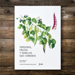 Verduras, frutas y semillas que comemos