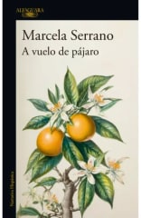 A VUELO DE PÁJARO