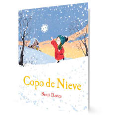 COPO DE NIEVE