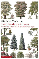 LA TRIBU DE LOS ARBOLES