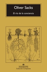 EL RIO DE LA CONCIENCIA