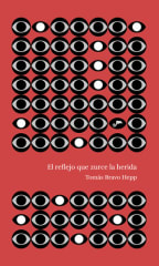 EL REFLEJO QUE ZURCE LA HERIDA