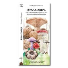 CARTILLA HONGOS FUNGA CENTRAL