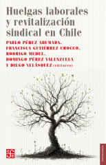 HUELGAS LABORALES  Y REVITALIZACIÓN SINDICAL EN CHILE