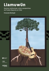 LLAMUWUN: RACISMO CULTURAL, CRISIS Y PERSPECTIVAS DEL PUEBLO MAPUCHE