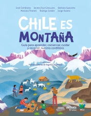 CHILE ES MONTAÑA