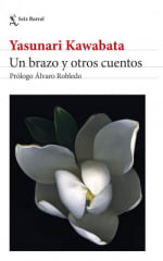 UN ABRAZO Y OTROS CUENTOS