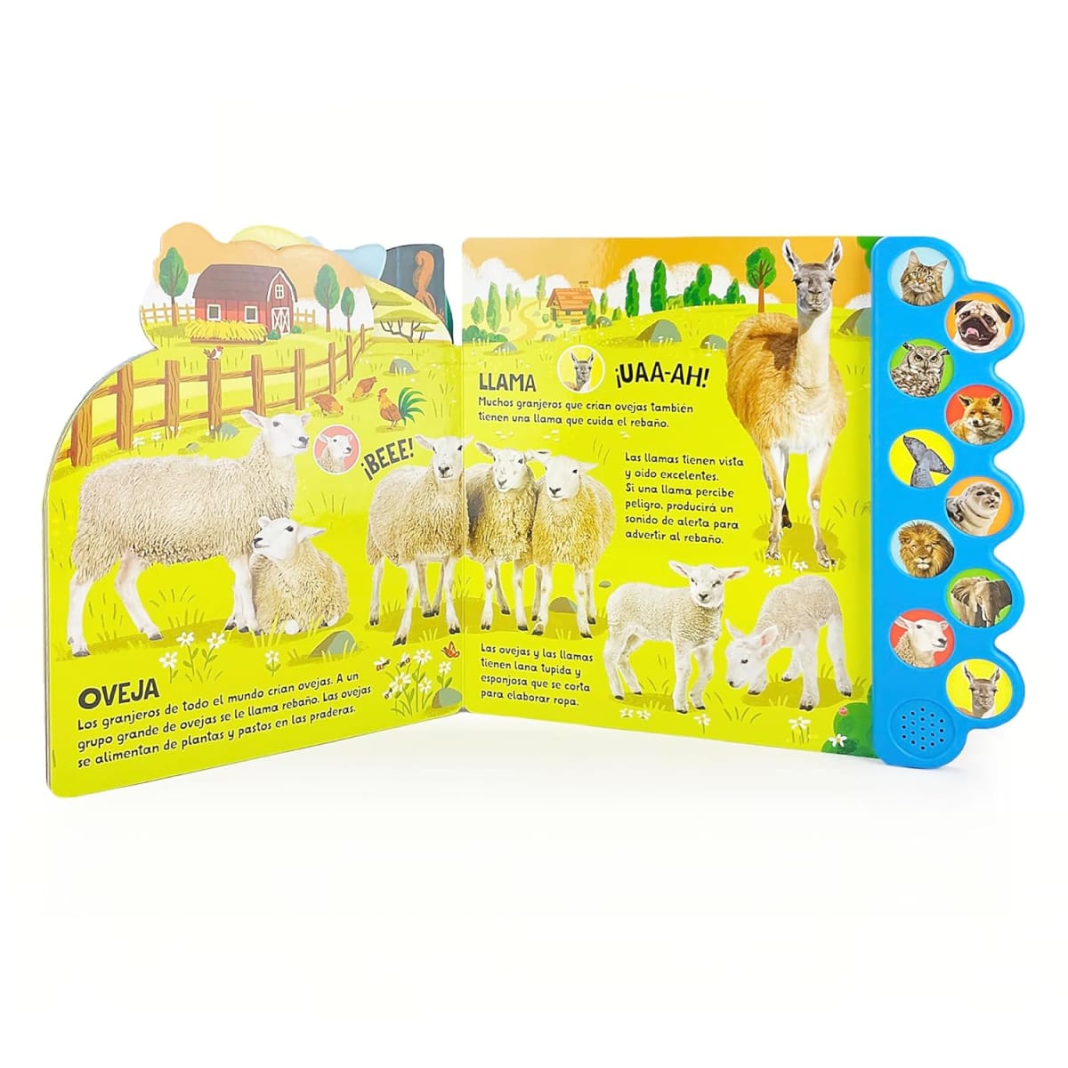 10 SONIDOS DE ANIMALES: ¡UJÚ! ¡MIAU! ¡GROAR!3