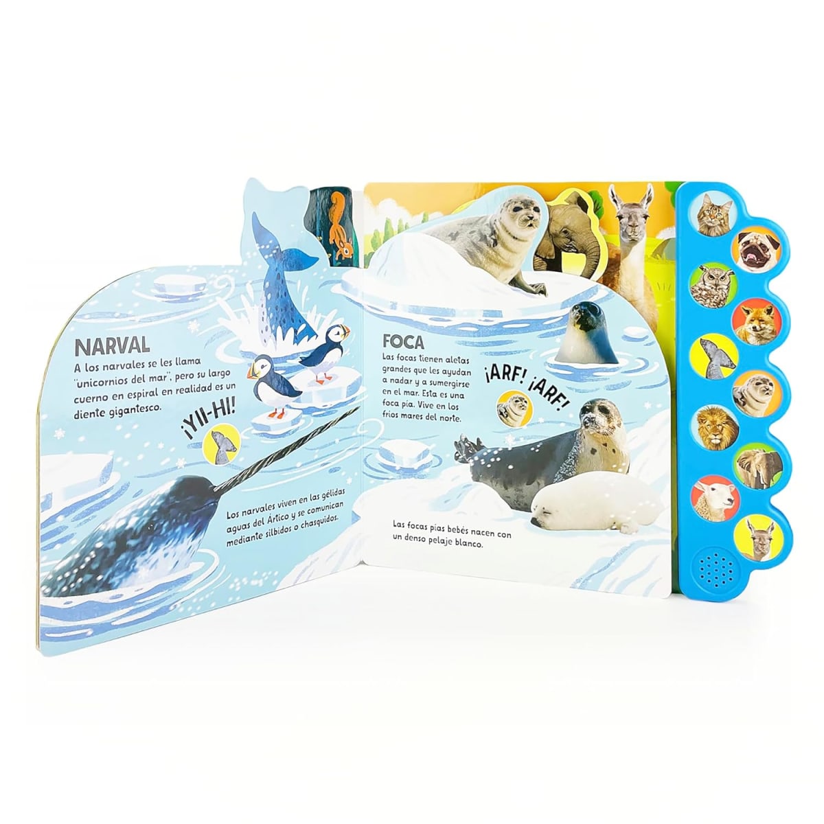 10 SONIDOS DE ANIMALES: ¡UJÚ! ¡MIAU! ¡GROAR!4