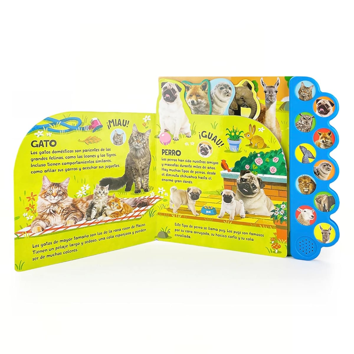 10 SONIDOS DE ANIMALES: ¡UJÚ! ¡MIAU! ¡GROAR!2