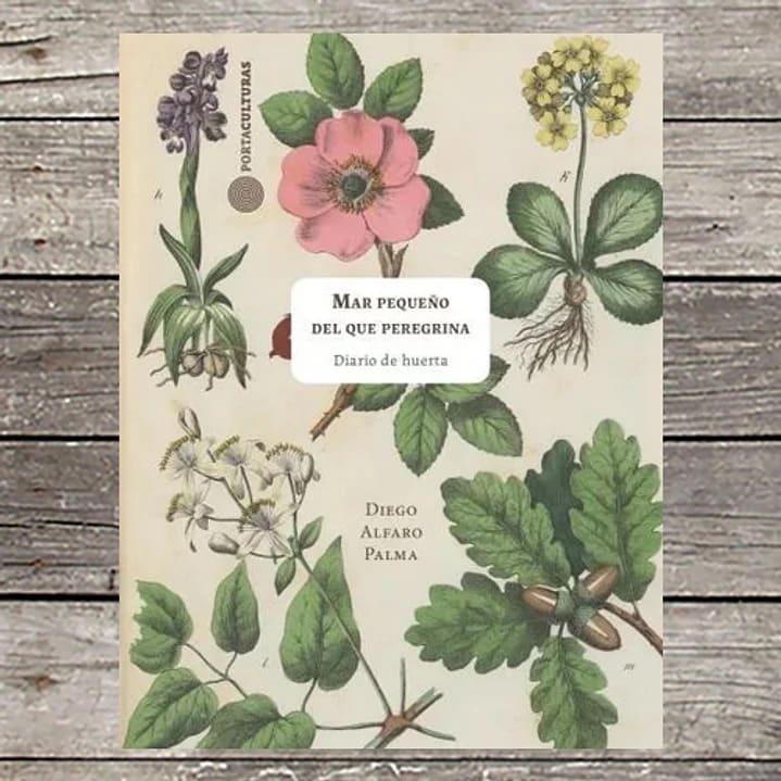 MAR PEQUEÑO DEL QUE PEREGRINA1