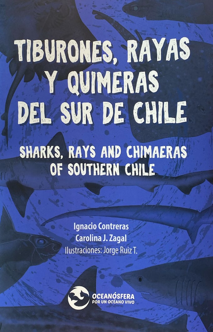 TIBURONES, RAYAS Y QUIMERAS DEL SUR DE CHILE1