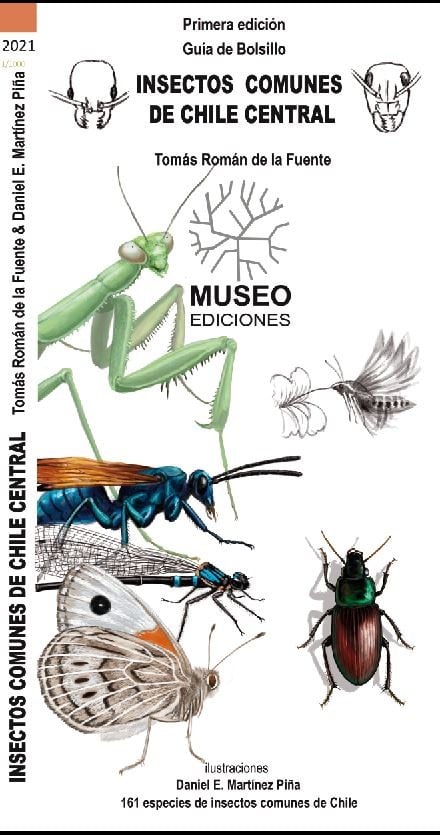 CARTILLA INSECTOS COMUNES DE CHILE CENTRAL1