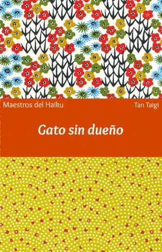 GATO SIN DUEÑO1