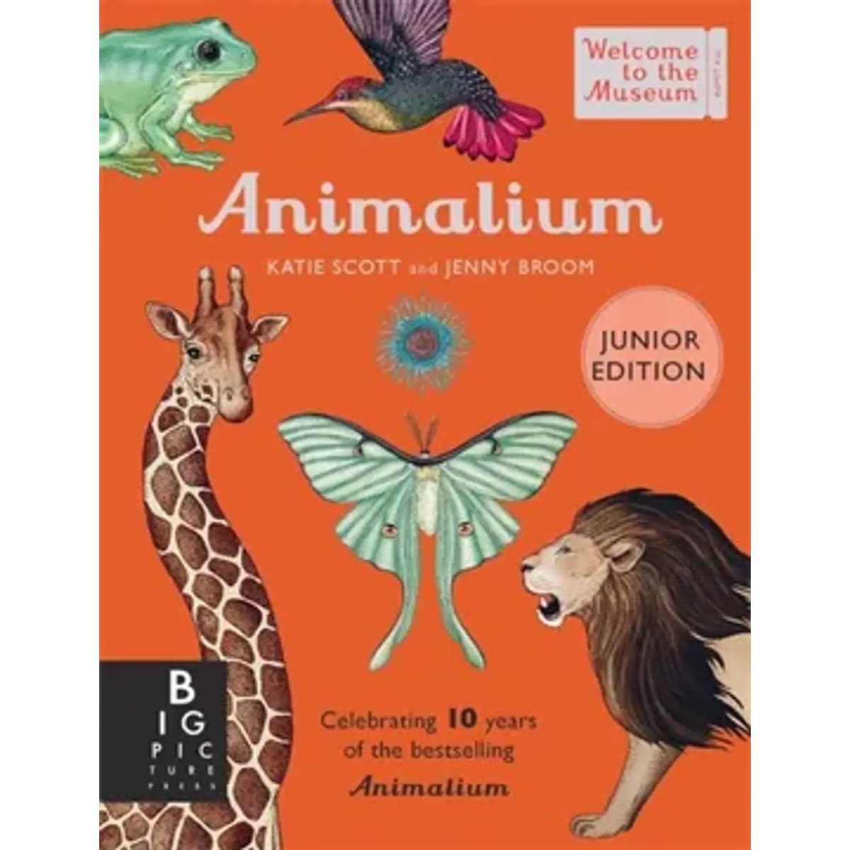 ANIMALIUM. EDICIÓN JUNIOR - OCEANO C1