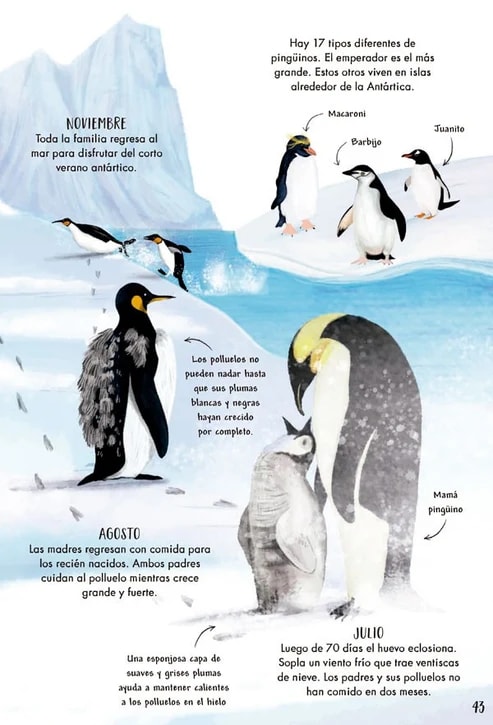 MI PRIMER LIBRO DE LA NATURALEZA2