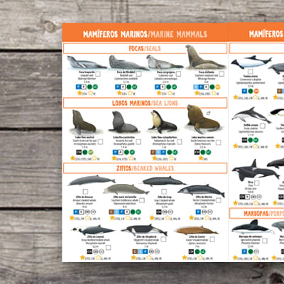 101 ANIMALES MARINOS AMENAZADOS Y PROTEGIDOS DEL SUR DE CHILE2