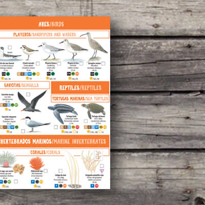 101 ANIMALES MARINOS AMENAZADOS Y PROTEGIDOS DEL SUR DE CHILE4