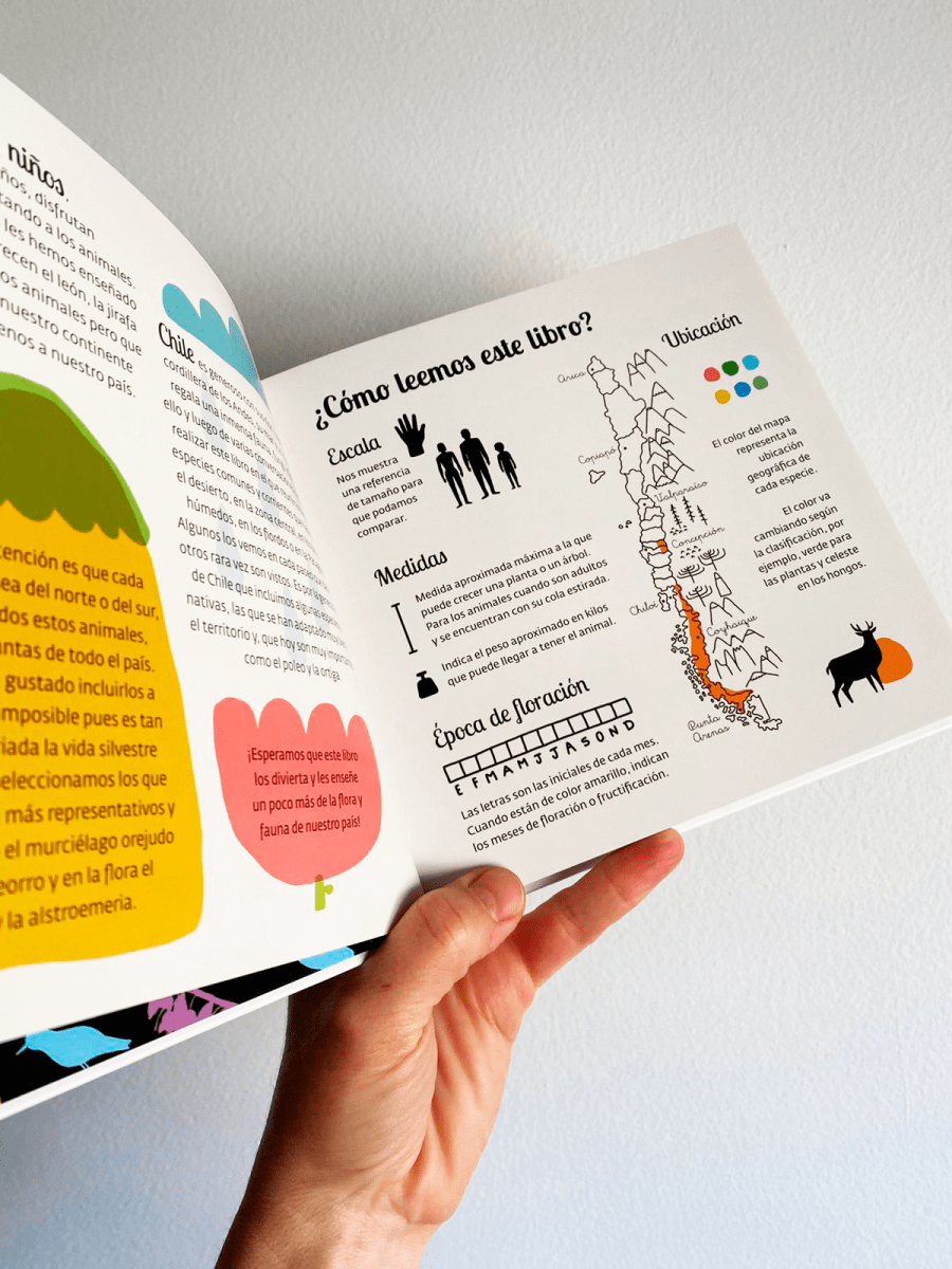 FAUNA, FUNGI Y FLORA. BREVE MUESTRA NATURAL DE CHILE4