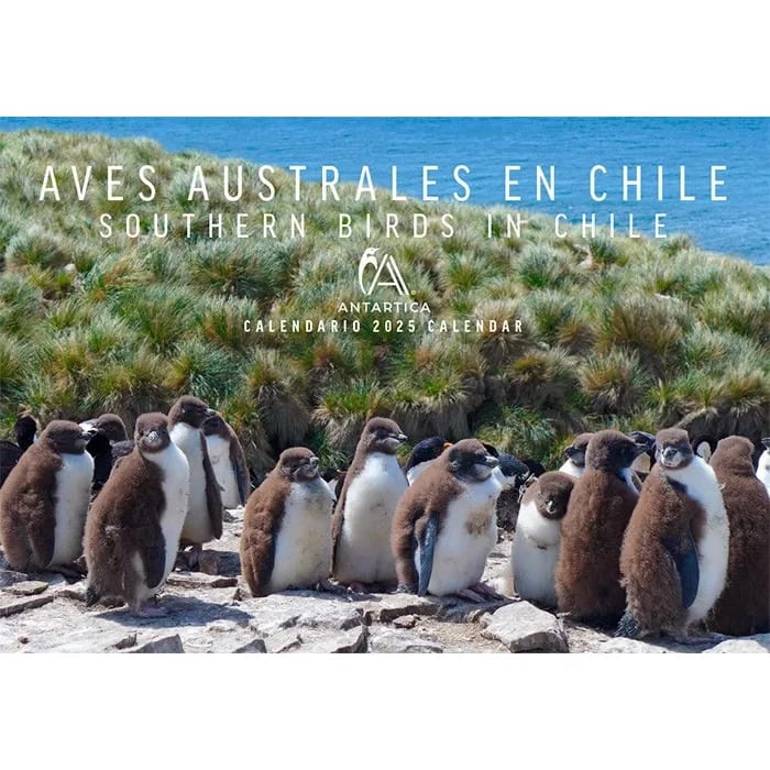 CALENDARIO ANTARTICA 2025. AVES AUSTRALES1