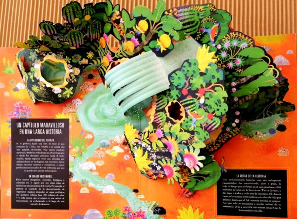 POP UP TIERRA6