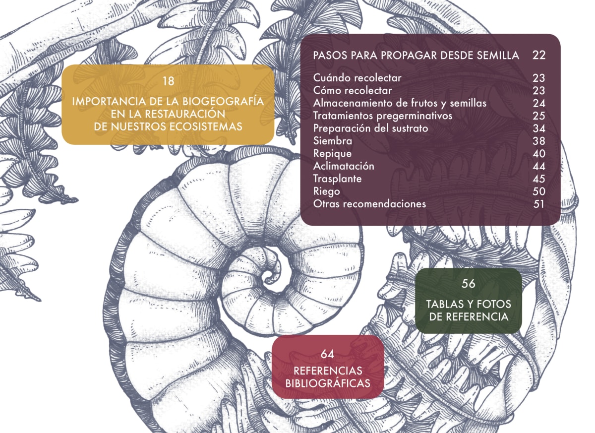 MANUAL DE PROPAGACIÓN DE ÁRBOLES NATIVOS, ZONA CENTRO SUR DE CHILE2