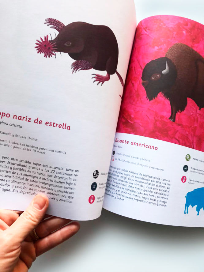 ANIMALES AMERICANOS1