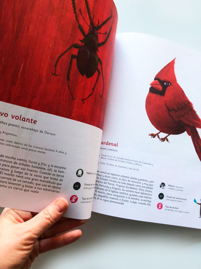 ANIMALES AMERICANOS3