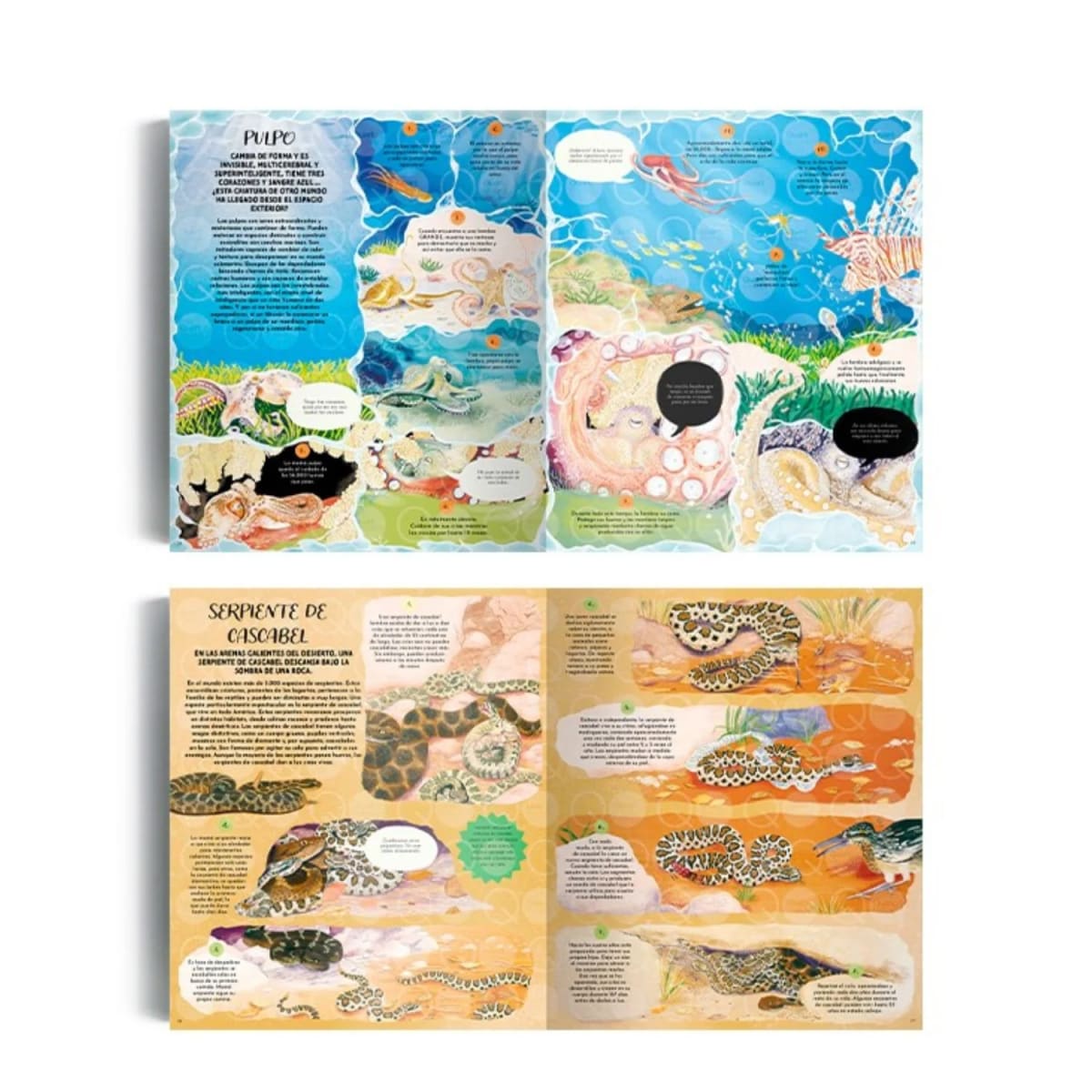 LA MAGIA DE LA NATURALEZA3