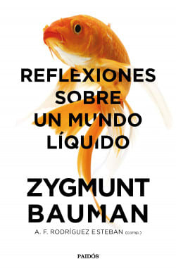 REFLEXIONES SOBRE UN MUNDO LÍQUIDO1