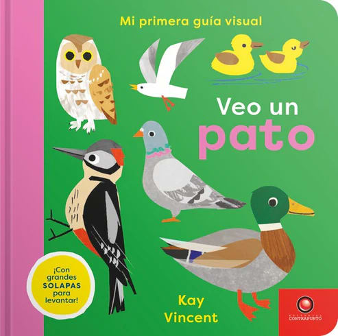 MI PRIMERA GUÍA VISUAL: VEO UN PATO1