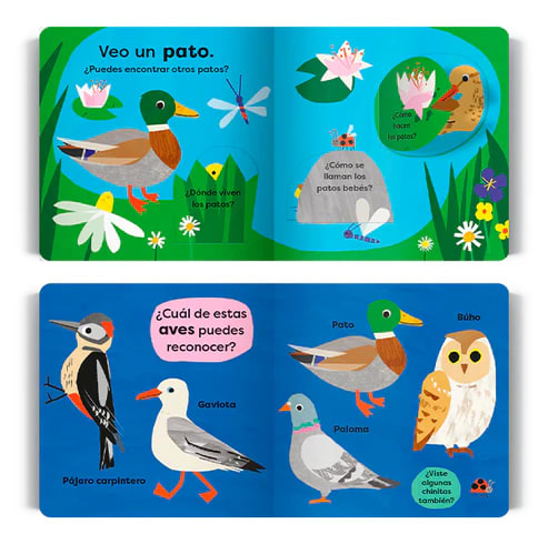 MI PRIMERA GUÍA VISUAL: VEO UN PATO2