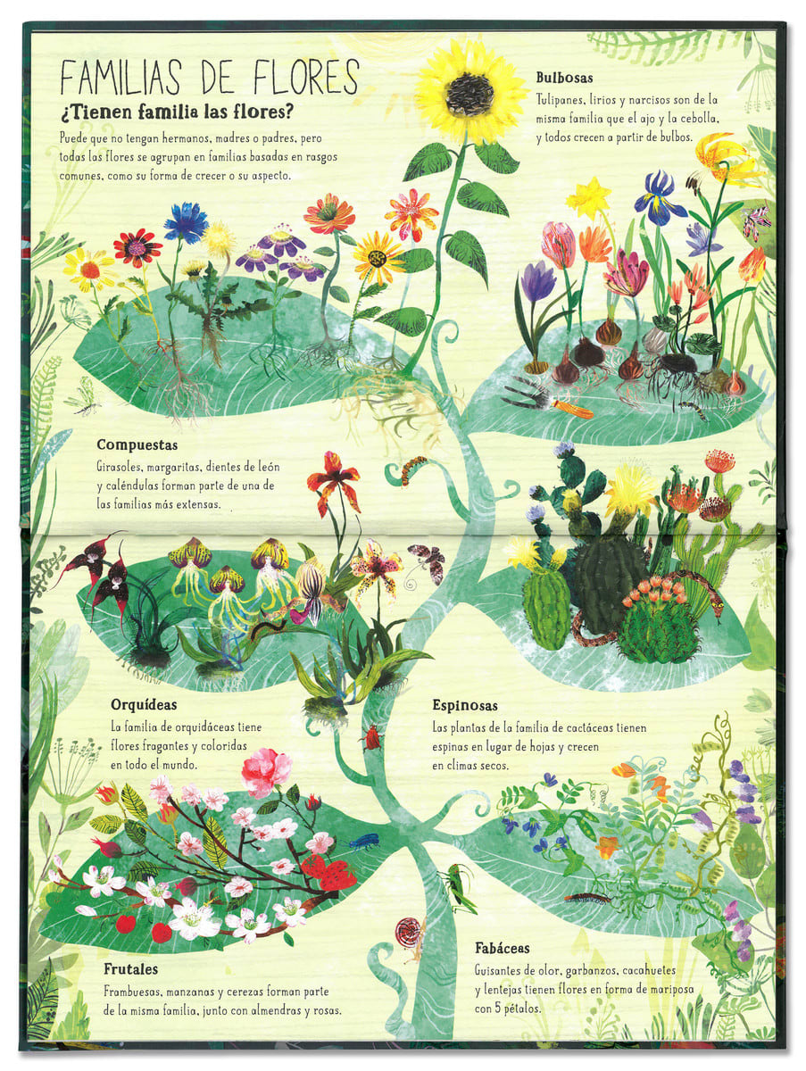 EL GRAN LIBRO DE LAS FLORES4