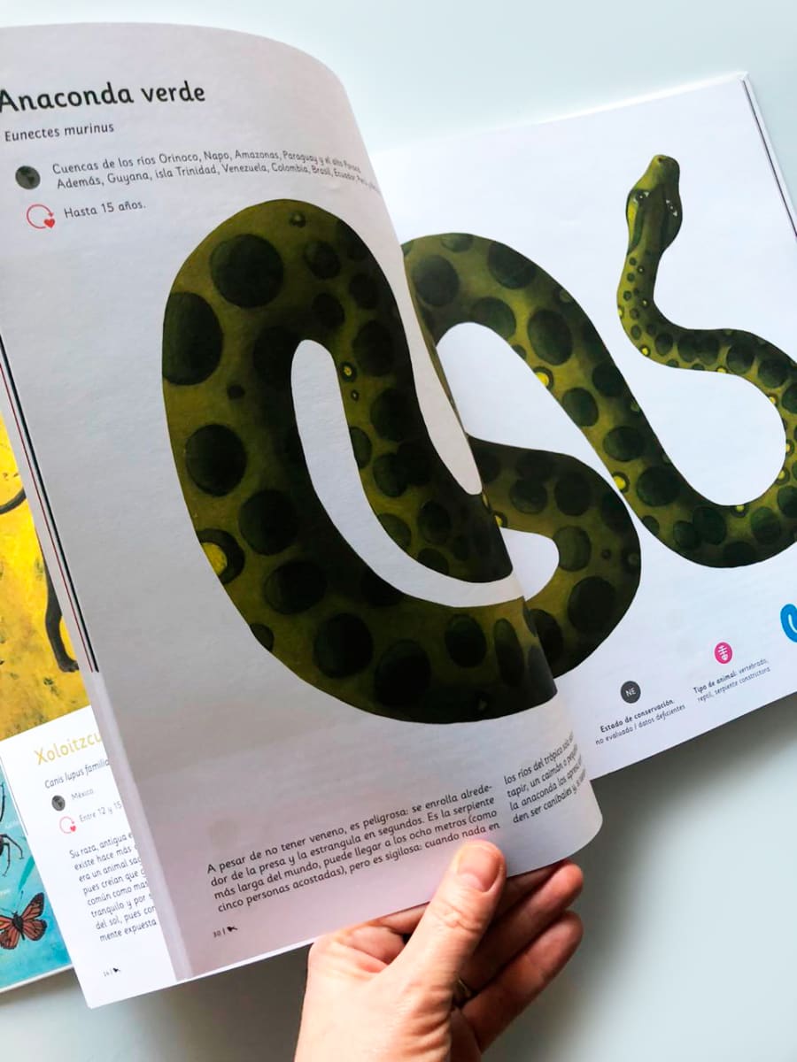 ANIMALES AMERICANOS4