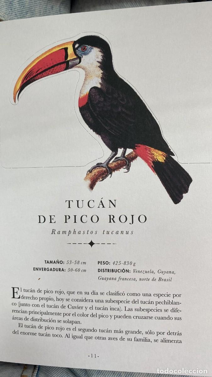 EL LIBRO DIORAMA DE LAS AVES6
