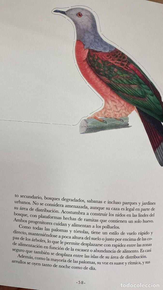 EL LIBRO DIORAMA DE LAS AVES5