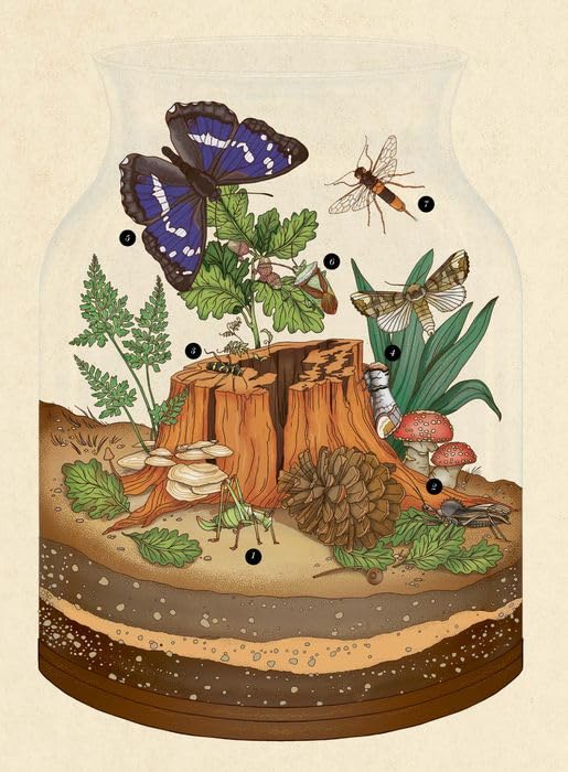 INSECTARIUM5