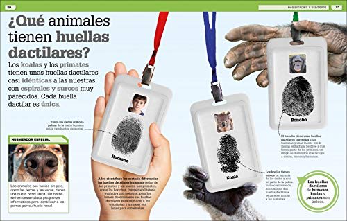 ¡INCREÍBLE PERO CIERTO! ANIMALES: CURIOSIDADES SOBRE EL MUNDO ANIMAL4