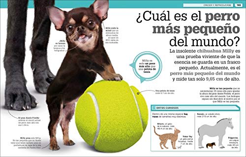 ¡INCREÍBLE PERO CIERTO! ANIMALES: CURIOSIDADES SOBRE EL MUNDO ANIMAL1