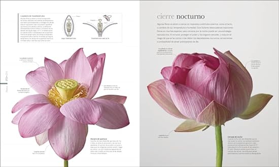 EL LIBRO DE LA NATURALEZA: ENCICLOPEDIA DEL MUNDO NATURAL EN IMÁGENES3