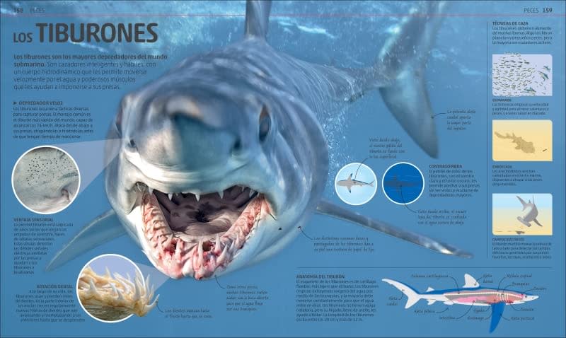 SECRETOS DE LA NATURALEZA2