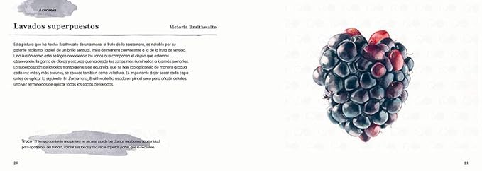 ILUSTRACIÓN BOTÁNICA: TÉCNICAS CONTEMPORÁNEAS PARA DIBUJAR FLORES Y PLANTAS4