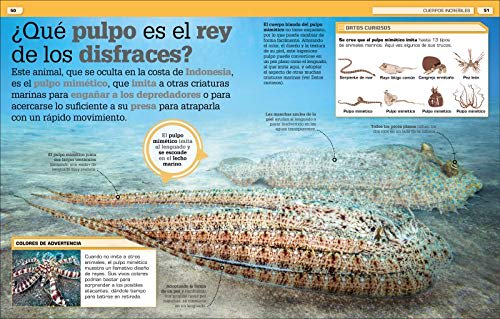 ¡INCREÍBLE PERO CIERTO! ANIMALES: CURIOSIDADES SOBRE EL MUNDO ANIMAL3