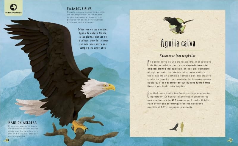 EL LIBRO DE LOS ANIMALES INSÓLITOS: EXTINCIÓN, CONSERVACIÓN Y SUPERVIVENCIA5