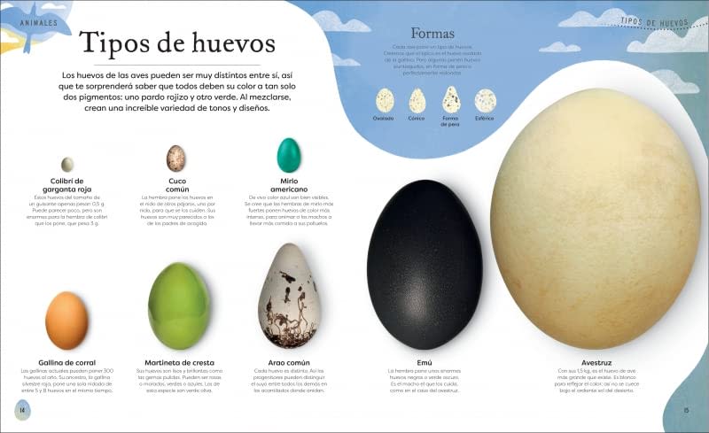 TESOROS DE LA NATURALEZA3