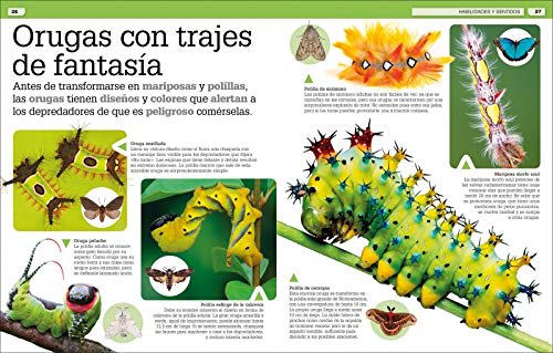 ¡INCREÍBLE PERO CIERTO! ANIMALES: CURIOSIDADES SOBRE EL MUNDO ANIMAL5