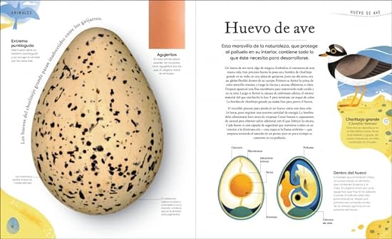 TESOROS DE LA NATURALEZA4