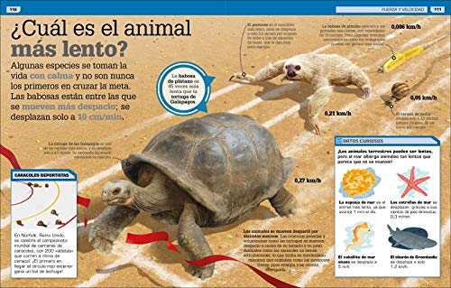 ¡INCREÍBLE PERO CIERTO! ANIMALES: CURIOSIDADES SOBRE EL MUNDO ANIMAL2
