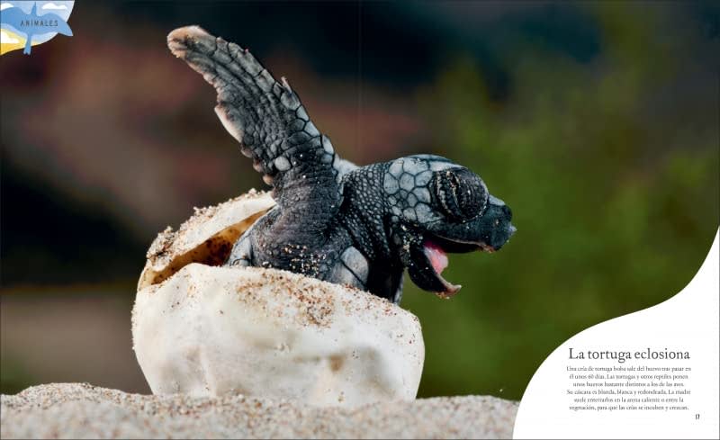 TESOROS DE LA NATURALEZA2