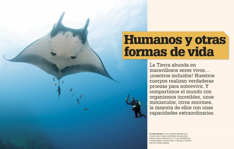 ¡INCREÍBLE PERO CIERTO! COMPARACIONES VISUALES SORPRENDENTES2